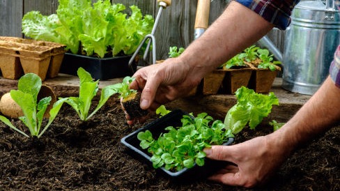 biojal-urbano-servicios-jardines